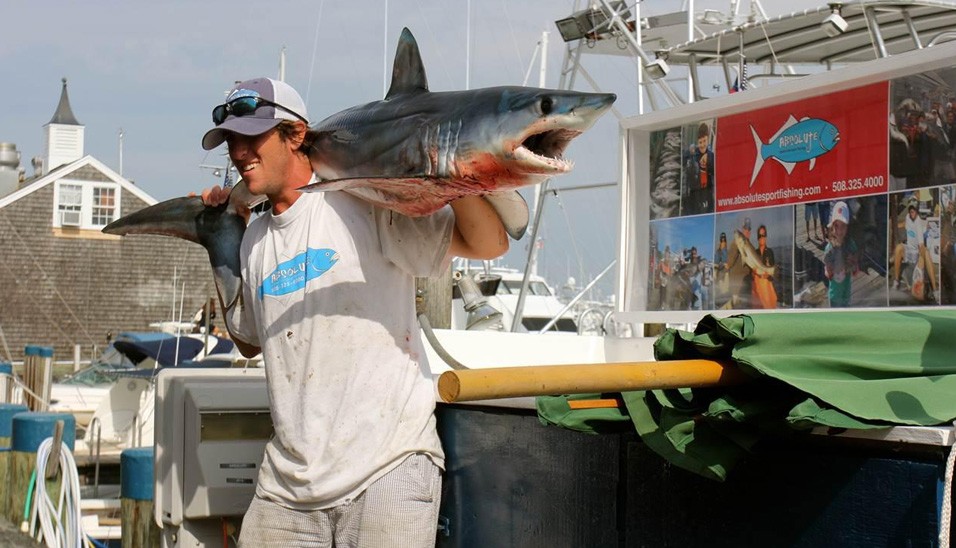 Absolute Sport Fishing